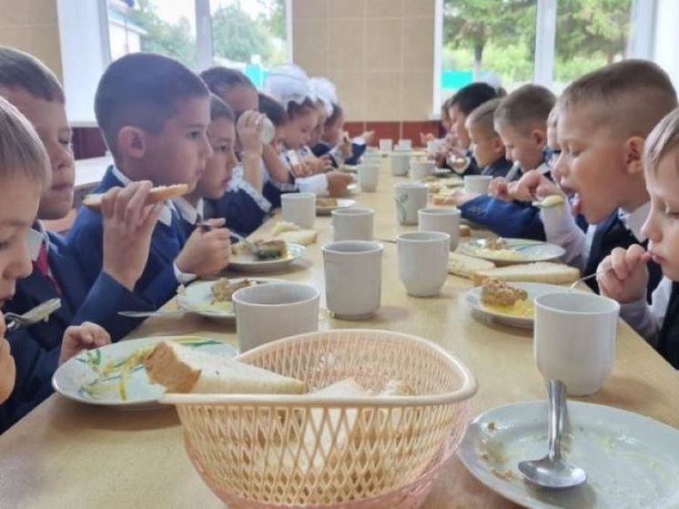 Радий Хабиров об организации школьного питания: «Расслабляться нельзя»