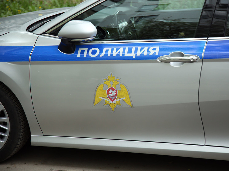 После видео с издевательствами над котенком началась проверка