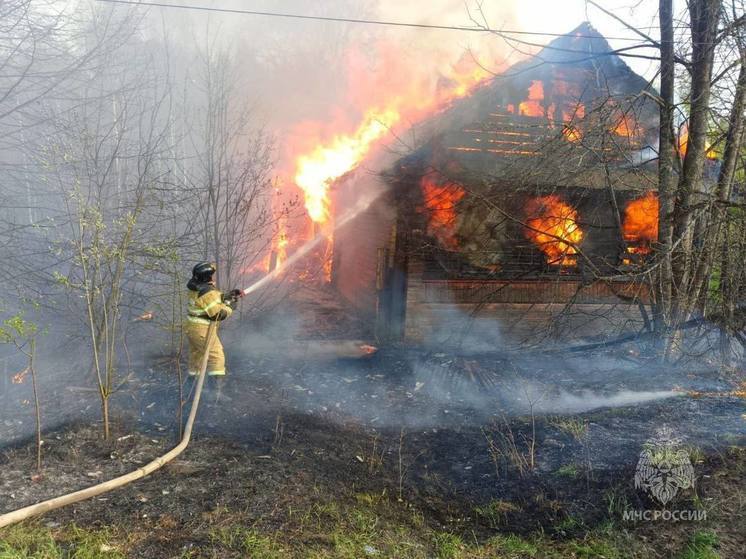 В первые майские в Новгородской области сгорело 3 гектара травы