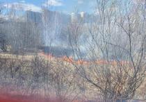 В Красноярске с 3 мая вводят особый противопожарный режим