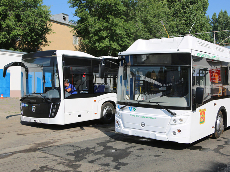 В Воронеже изменят маршруты общественного транспорта 4 мая