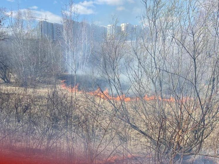 С 3 мая в Красноярске вводят особый противопожарный режим