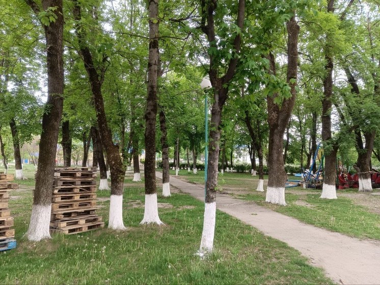В станице Отрадненского района приступили к капремонту парка