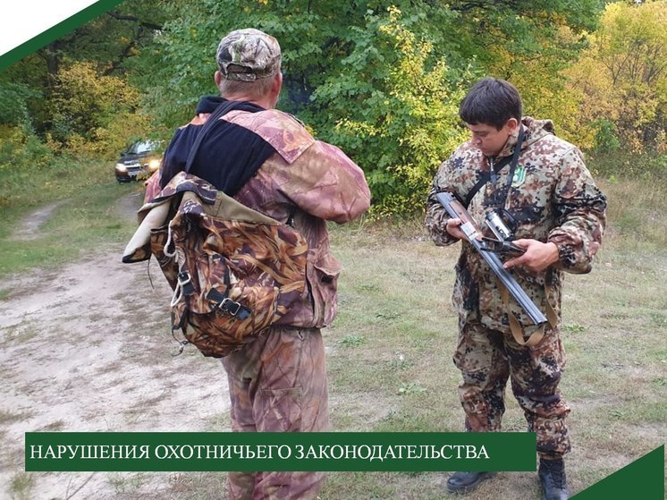 В Пензенской области выявили три нарушения охотничьего законодательства