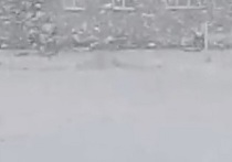 Жители Новосибирской области стали размещать в интернете фотографии, на которых видны снегопады, заснеженные земля и крыши