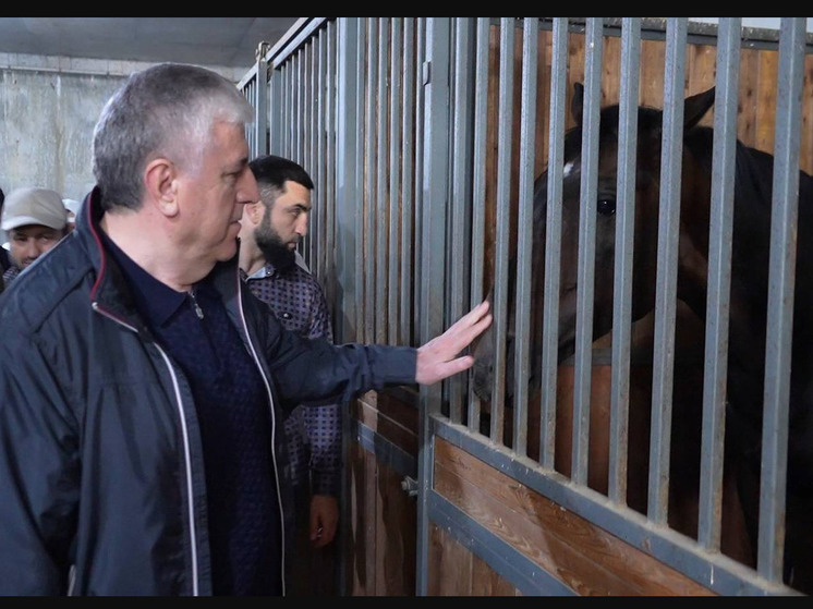 Дагестан преодолевает препятствия: успехи конного спорта