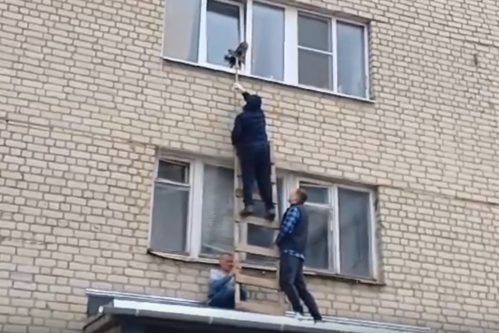 Костромские спасения: неравнодушные галичане спасли кошку от верной гибели