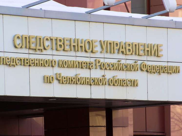 В Челябинске проводится проверка в отношении женщины, избившей ребенка палкой