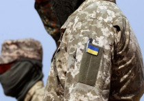 Украина не выполнила "домашнее задание", связанное со своевременным проведением мобилизации, заявил в интервью телеканалу Welt глава аппарата министра обороны Германии Нико Ланге
