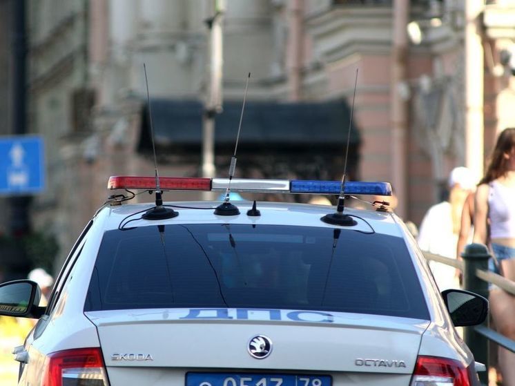Обнаруженных в автомобиле каршеринга в Петербурге баранов передали владельцу