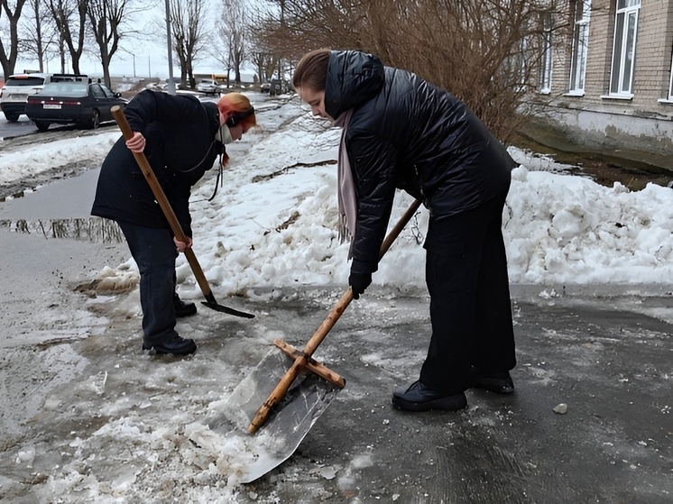   Студотряды Поморья провели акцию «Труд Крут Май»