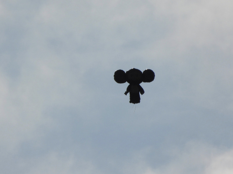 Летающего Чебурашку заметили в небе над Нижне-Свирском заповеднике