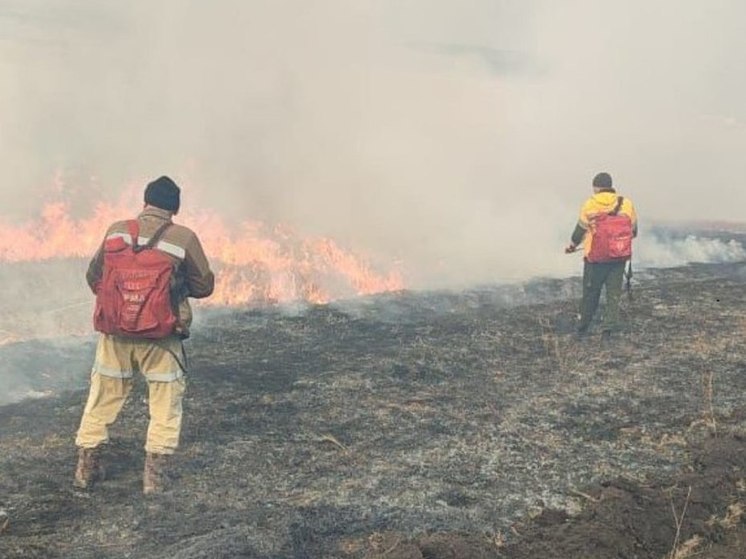  В Приангарье за сутки потушили семь лесных пожаров