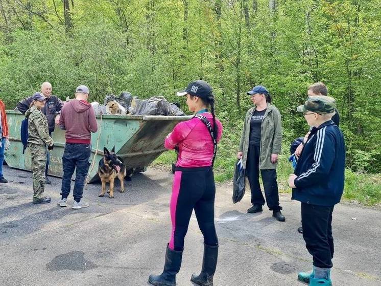 Десятки мешков хлама убрали из калининградских лесов