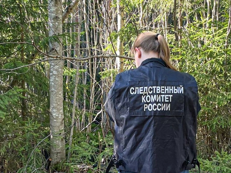 У поселка в Тверской области обнаружили человеческие останки