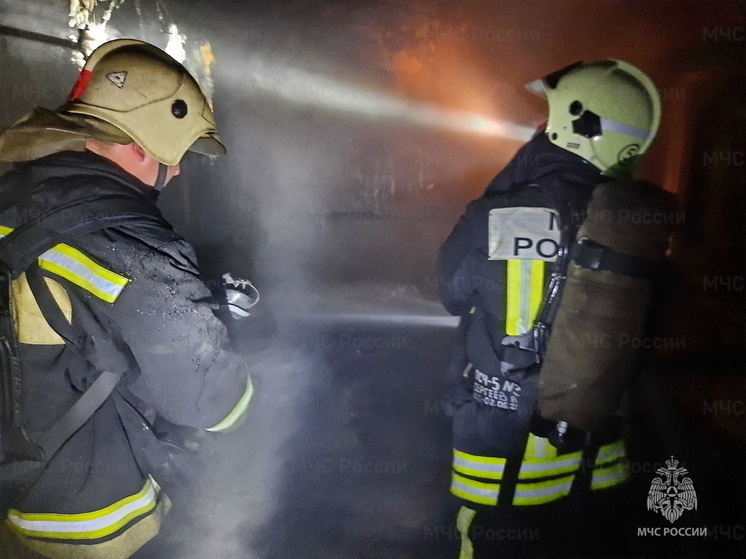 При возгорании дачного дома в Починковском районе погиб человек