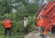 Во время общегородского субботника в Краснодаре убрано около 1700 кубометров мусора и удалено более 2500 рекламных объявлений