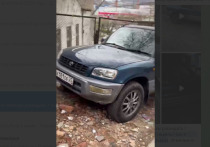 Жители Владивостока просят помощи в поиске управы на ответственных за собак, запертых в автомобиле на улице Русской