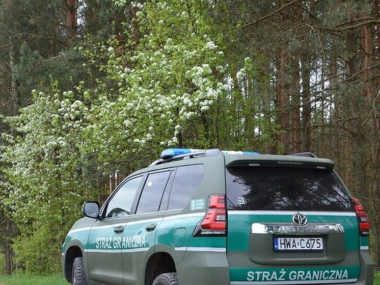 Polish border guard and soldier were injured by stones on the border with Belarus