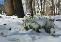Апрель в Петербурге получился сложный: жара сменялась снегопадами. Об этом рассказал в своем telegram-канале синоптик Александр Колесов.