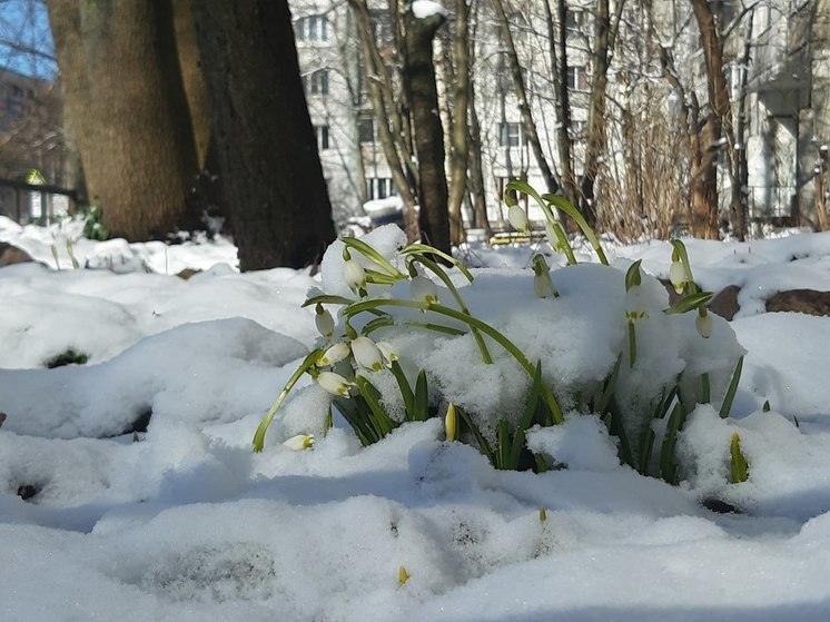 От жары до снегопадов: синоптик Колесов подвел погодные итоги апреля в Петербурге