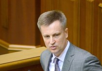 Валентин Наливайченко, с 2014 по 2015 год занимавший пост председателя СБУ, был объявлен Россией в розыск
