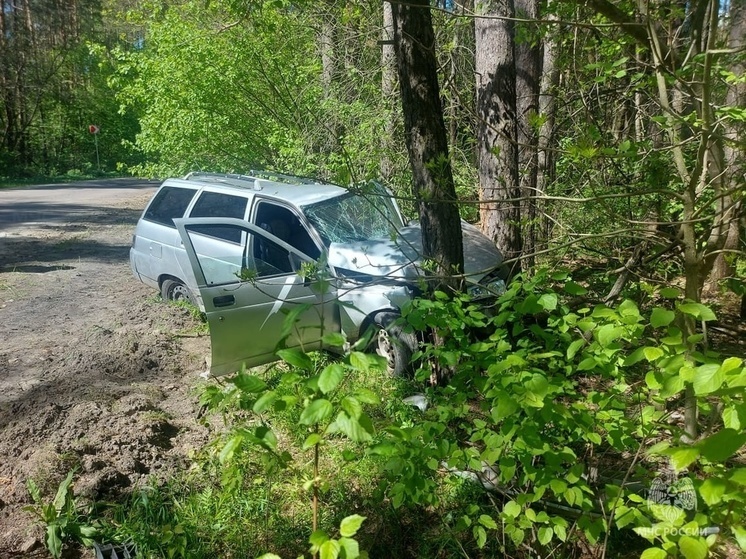 На орловской трассе водитель авто съехал в кювет и врезался в дерево