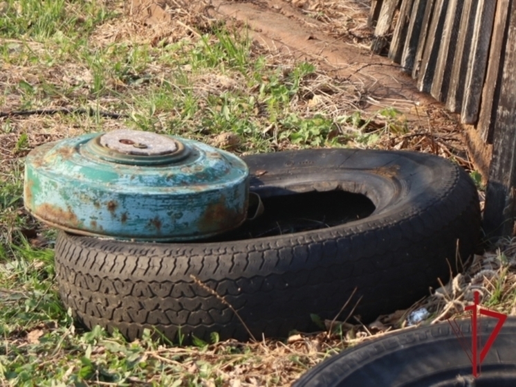 В пригороде Биробиджана обнаружена мина