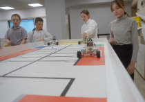 Проект реализуется преподавателями технопарка «Кванториум» Забайкальского края на базе образовательного центра «Купрум» в Новочарской СОШ №2