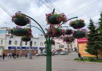 Мэрия Томска обнародовала планы по озеленению и украшению города весной 2024 года