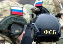 Сотрудники ФСБ задержали по подозрению в шпионаже в пользу Киева жительницу города Антрацит Луганской Народной Республики