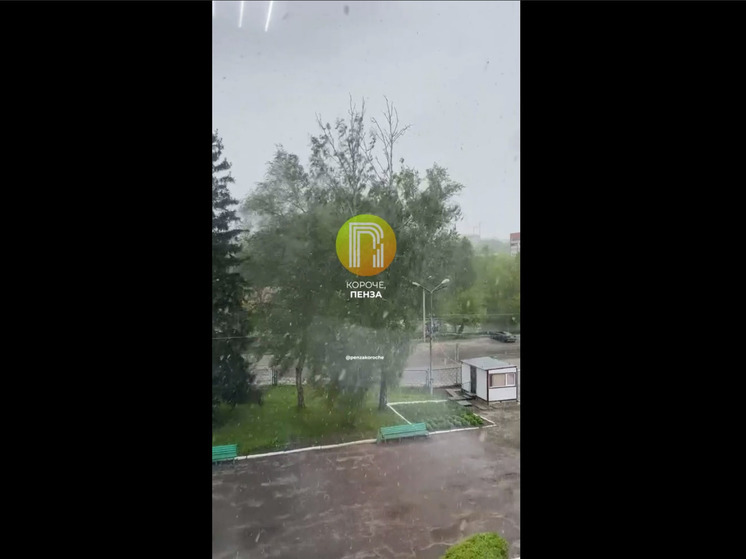 В Пензе 3 мая пошел снег