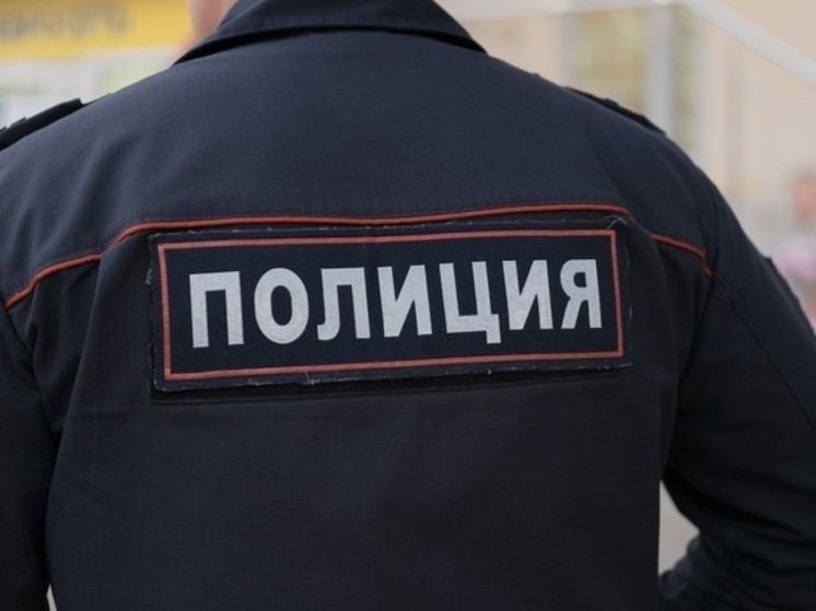 Житель Иркутской области натравил бойцовского пса на маленького ребенка