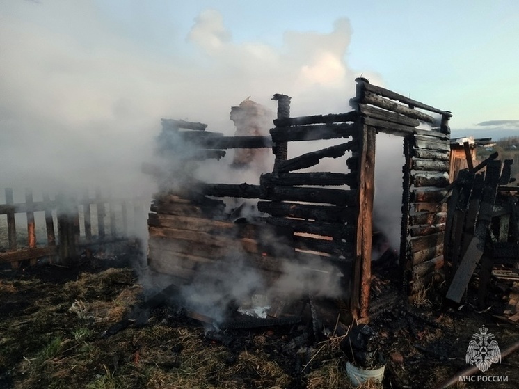 Три пожара за минувшие сутки произошло на Вологодчине из-за неосторожности людей