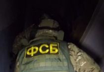 Сотрудники ФСБ России ликвидировали агента военной разведки Украины, который готовил на территории России серию терактов, в том числе на объектах Министерства обороны