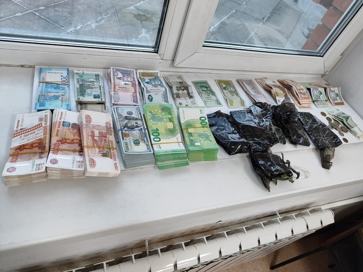 Бурятские таможенники нашли почти 50 тыс долларов  у пассажира такси