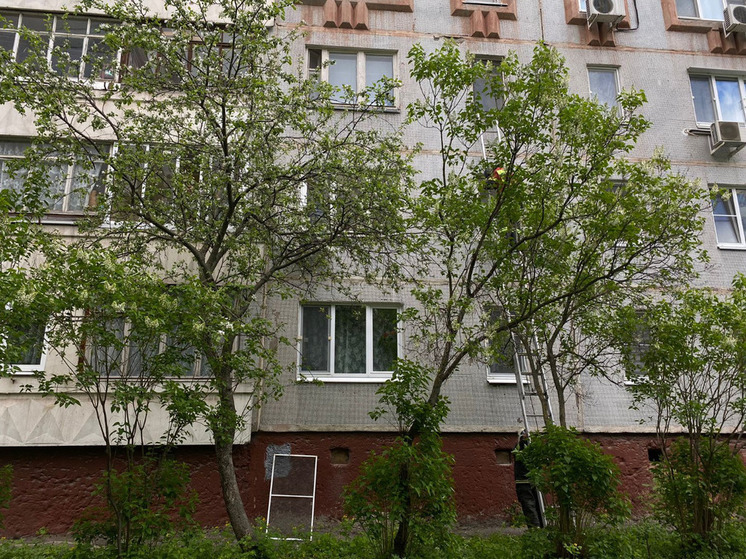 Несколько дней вони и жуткая правда: в квартире в центре Тулы оказался труп