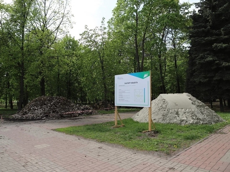 В Курске 4 мая проведут встречу по поводу сноса деревьев в парке Бородино