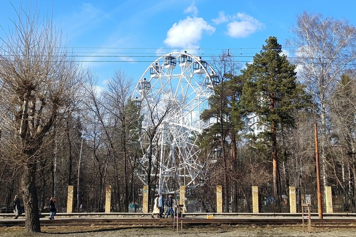 В парках Екатеринбурга начали обработку от клещей - МК Екатеринбург