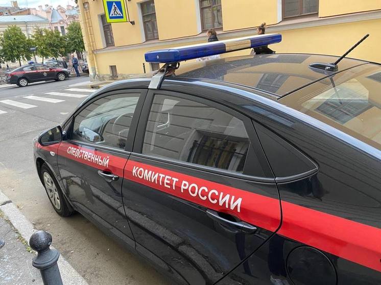Бастрыкин поручил выяснить, почему жители Всеволожска жалуются на отсутствие инфраструктуры