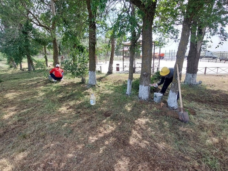 У поворота на Одинокий тополь провели субботник