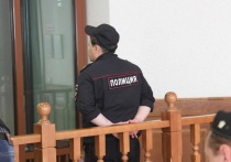 Октябрьский районный суд Екатеринбурга 3 мая признал виновным местного жителя по чч