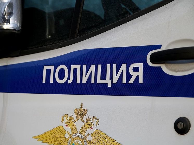 Ударившего девочку в Люберцах мужчину арестовали на месяц