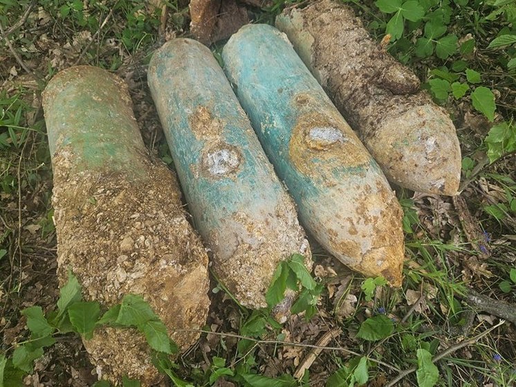В Крымском районе взрывотехники уничтожили 16 боеприпасов времен ВОВ