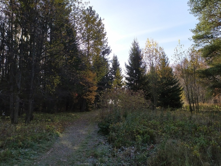 В пермских лесах усилено патрулирование