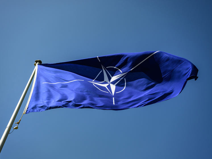 Риттер: выживаемость НАТО в случае столкновения с Россией составит около трех дней