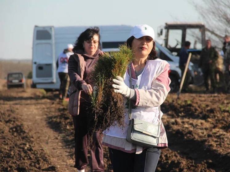 Порядка тысячи дончан стали участниками "Сада памяти"