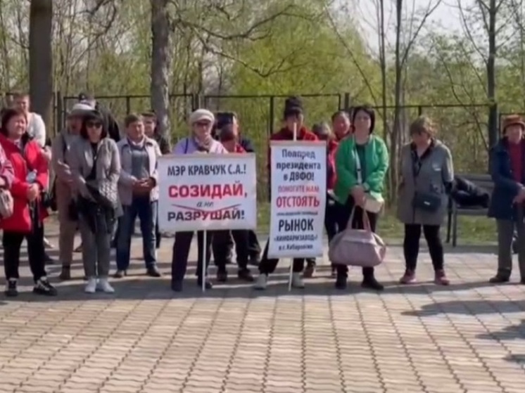 Митингующие потребовали сохранить сельхозрынок в Хабаровске