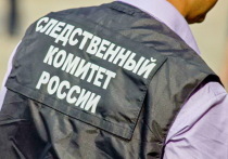 СК России по Ростовской области принял решение возбудить уголовное дело после выселения дочери героя СВО из ее дома в селе Самарское.