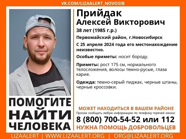 В Новосибирске разыскивают 38-летнего мужчину с бородой